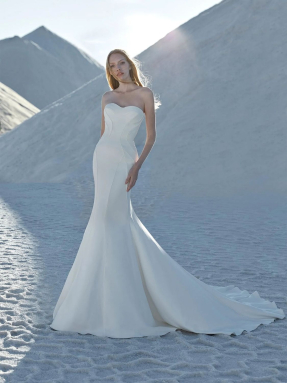 WEDDING DRESSES Atelier Pronovias Astral 2024