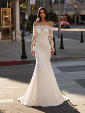 WEDDING DRESS 2022 Pronovias Winters